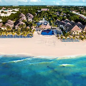 https://occidental-allegro-playacar.quintano-roohotels.com